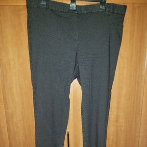 Metaphor Dress Pants